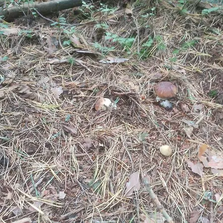 Privát U Zdenky Tvrdosin